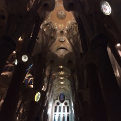 IMG 350